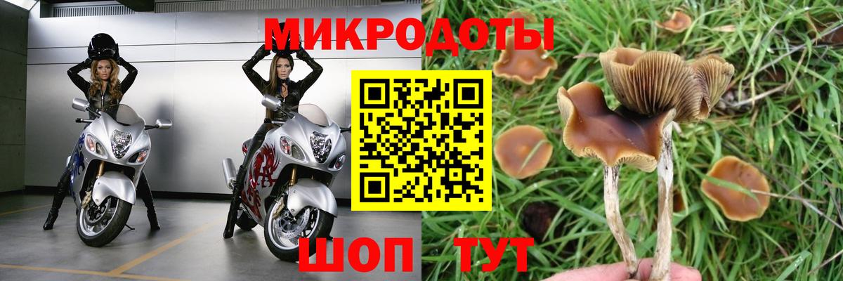 Галлюциногенные грибы GOLDEN TEACHER  Вход с VPN  Ефремов 